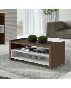 Modern Brown Center Table with Open Shelves | Maimo Furniture MAM171020250015