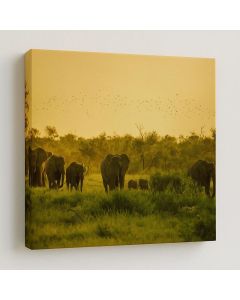 Elephant Herd at Sunset – African Wildlife Art by Maimo- MAM0910202539