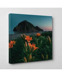 Orange Lilies Coastal Sunset Art – Maimo Furniture- MAM0910202575