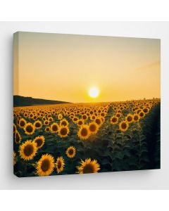 Sunflower Field Sunset Art – Golden Radiance by Maimo Furniture- MAM0910202523