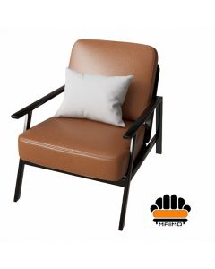 Modern Upholstered Lounge Chair with Metal Frame & Armrests – Accent Chair by Maimo Furniture-MAM202618255
